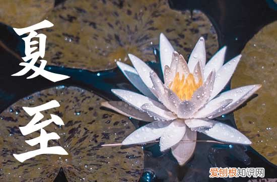 2023年夏至是什么时候
