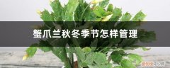 蟹爪兰秋冬季节怎样管理,秋冬季能扦插吗 蟹爪兰秋冬季节怎样管理，秋冬季能扦插吗