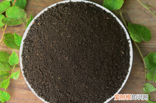 种花怎么选好土壤 种花怎么选好土