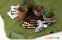 种花怎么选好土壤 种花怎么选好土