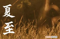 2023年夏至后第一个庚日是哪天