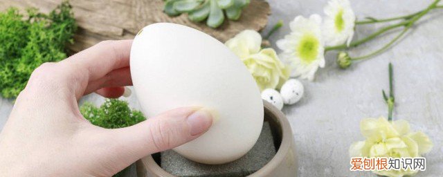 鹅蛋不能与啥同吃 鹅蛋不能和什么同吃