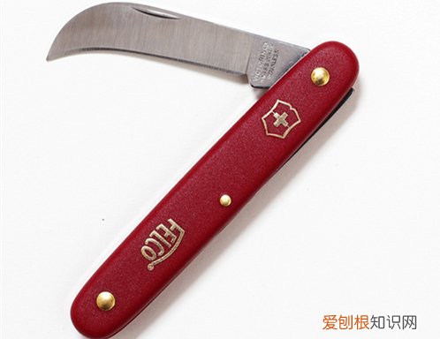 图 插花需要用到哪些工具 怎么使用
