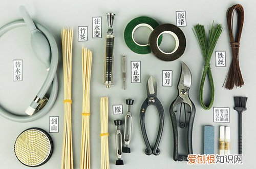 图 插花需要用到哪些工具 怎么使用