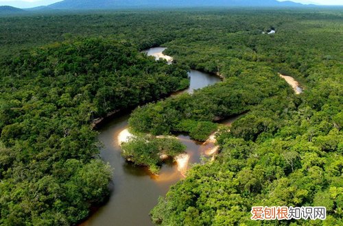 植物应对气候和环境变化 如何应对极端气候，植物生存考验的秘诀是什么？