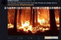 植物应对气候和环境变化 如何应对极端气候，植物生存考验的秘诀是什么？