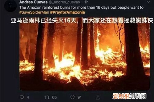 植物应对气候和环境变化 如何应对极端气候，植物生存考验的秘诀是什么？