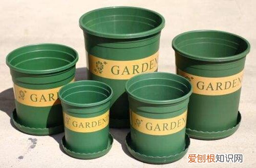 加仑盆和塑料盆用哪个养花好 养花陶瓷盆和加仑盆哪个更好一点?