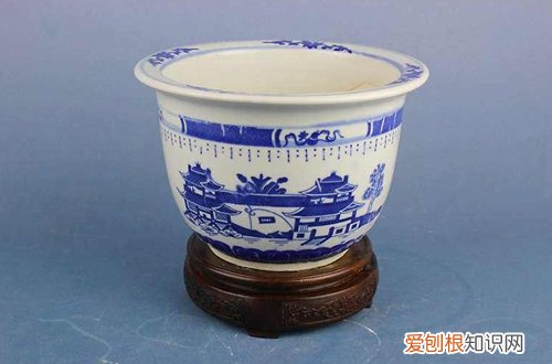 加仑盆和塑料盆用哪个养花好 养花陶瓷盆和加仑盆哪个更好一点?