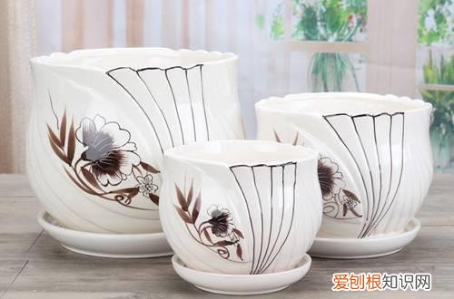 花卉种植小常识 一些好的花卉种植习惯和种花神器在这里，快来了解下吧！