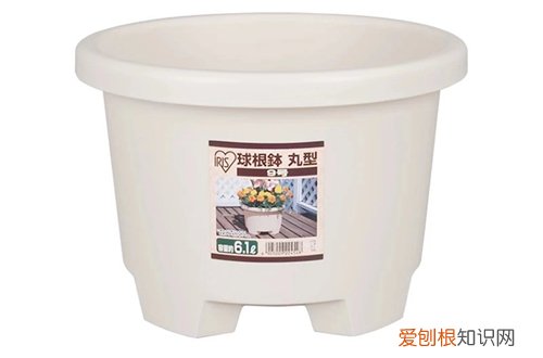 花卉种植小常识 一些好的花卉种植习惯和种花神器在这里，快来了解下吧！