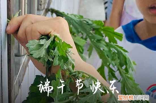 端午节挂香囊的寓意 端午祛邪祈福抵御不良气运