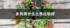 如何在家自制多肉营养土 多肉用什么土养比较好，如何自制