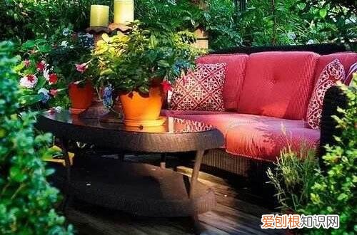 图 夏季花卉怎么养护 夏季花卉有哪些养护方法