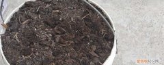 啥叫腐叶土的制作方法 腐叶土的制作方法，多久才能腐熟