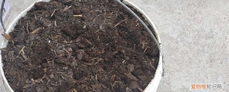 啥叫腐叶土的制作方法 腐叶土的制作方法，多久才能腐熟