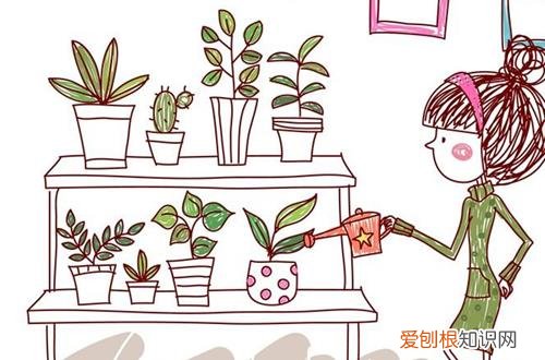 图 怎么给花浇水 如何正确给花浇水