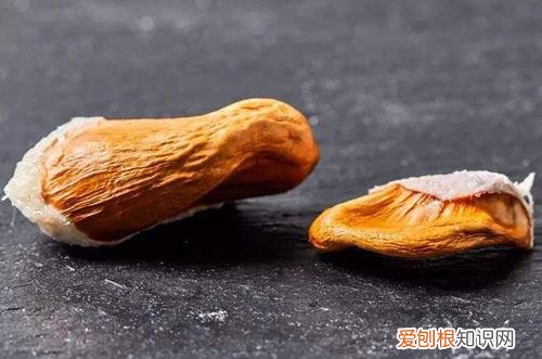 图 榴莲在北方能养吗 榴莲盆栽怎么种植呢