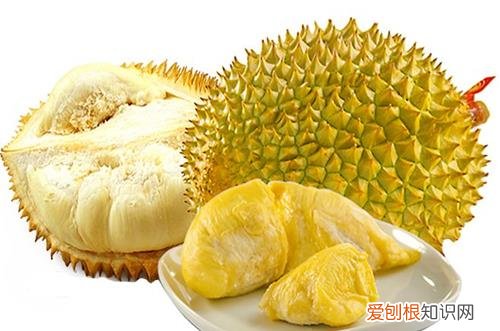 图 榴莲在北方能养吗 榴莲盆栽怎么种植呢