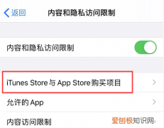 app store隐藏的已购项目怎么恢复