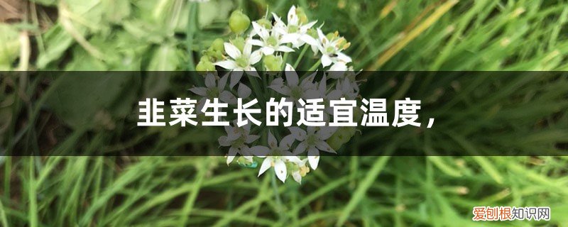 韭菜生长的适宜温度,韭菜生长周期是多少天 韭菜生长的适宜温度，韭菜生长周期
