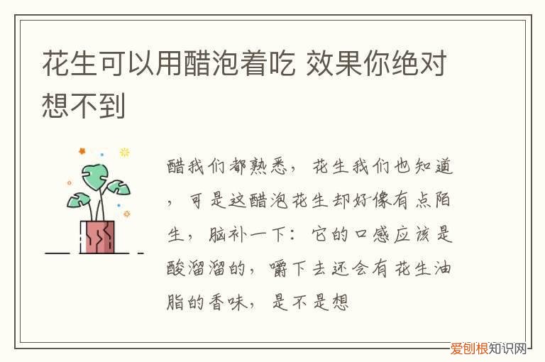 醋泡花生有用吗 花生,醋泡着吃,效果
