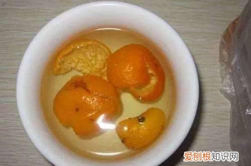 橘子皮可以当花的肥料吗 橘子皮可以养花吗，可以用橘子皮来养花做花肥，让花卉长得美美的