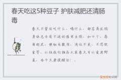 春天,豆子,护肤减肥,肠毒