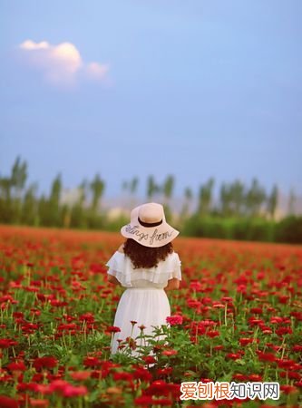 心之所向皆是美好下一句，目光所至心之所向皆是你的下一句