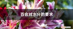百合对水分的要求高吗 百合对水分的要求
