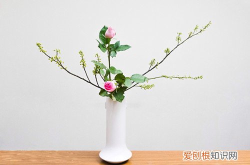 宽口矮花瓶怎么插花 小口径的花瓶该如何插花
