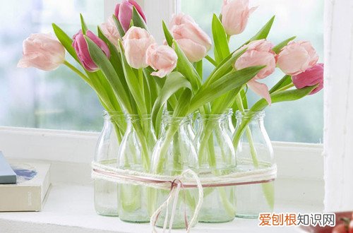 宽口矮花瓶怎么插花 小口径的花瓶该如何插花