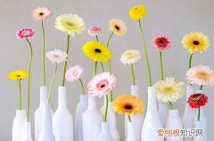 宽口矮花瓶怎么插花 小口径的花瓶该如何插花