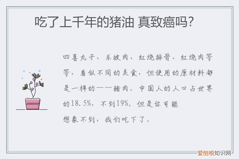 吃了上千年的猪油 真致癌吗？