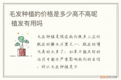 毛发种植的价格是多少高不高呢 植发有用吗
