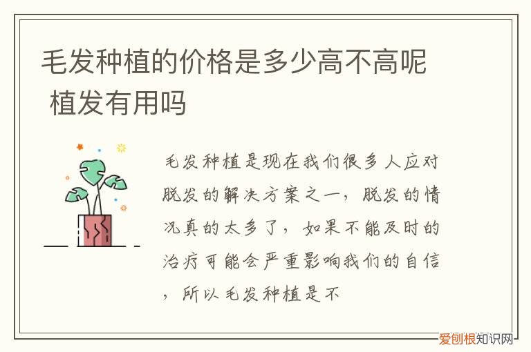 毛发种植的价格是多少高不高呢 植发有用吗