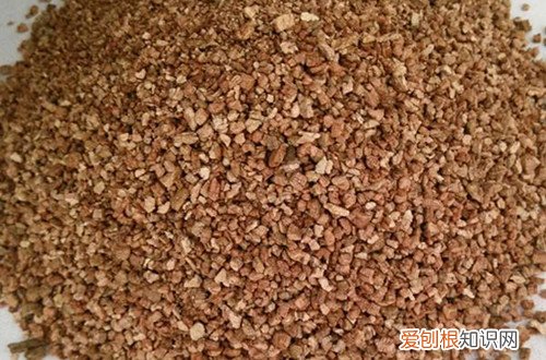 图 建兰怎样配土 建兰用什么土栽培最好