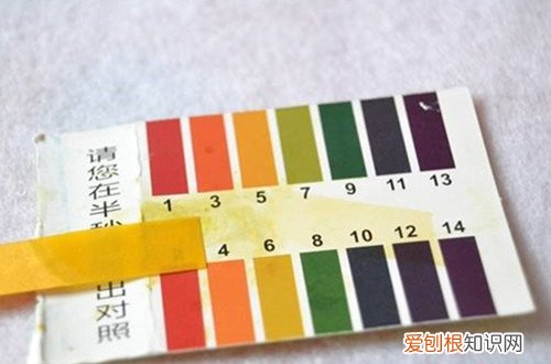 图 怎么测土壤酸碱度 如何改变土壤的酸碱性