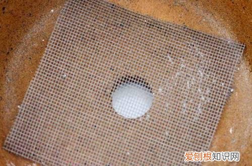 图 养花如何养根 要想花长的好养好根是关键