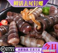 螺丝是海鲜吗，山坑螺是海鲜