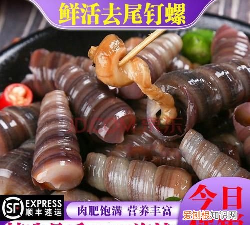 螺丝是海鲜吗，山坑螺是海鲜