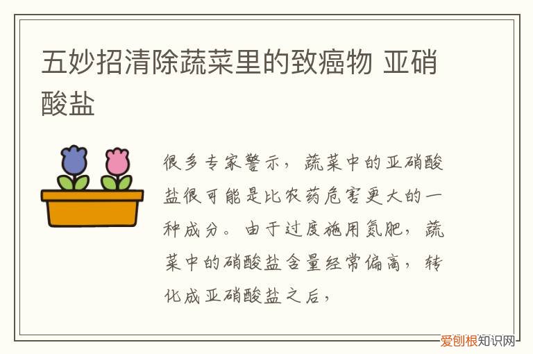 五妙招清除蔬菜里的致癌物 亚硝酸盐