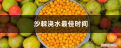 刚种上的沙棘树需要浇水吗 沙棘浇水最佳时间，沙棘树多久浇一次水