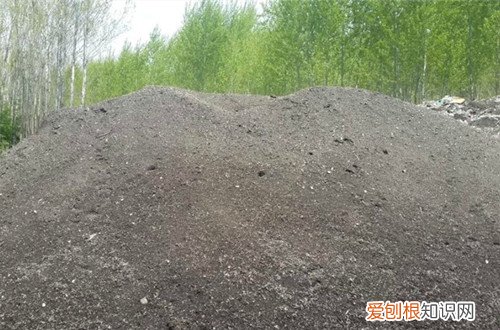 图 花卉营养土怎么配制 花卉营养土的配制方法和注意事项