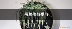 什么时候修剪吊兰叶子 吊兰修剪季节，修剪后多久能发芽