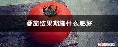 番茄结果期施什么肥好,如何施肥视频 番茄结果期施什么肥好，如何施肥