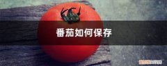 番茄怎么保鲜储存 番茄如何保存，新鲜番茄如何保存