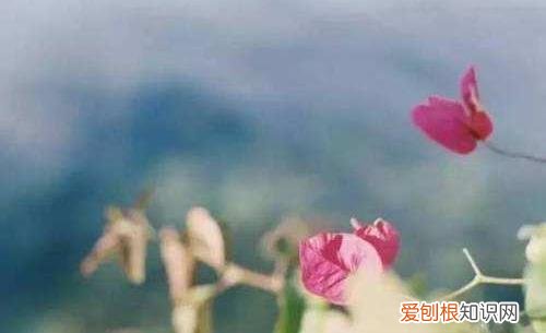 卫生好习惯 一定要坚持这些卫生习惯
