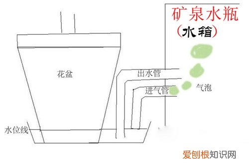 图 矿泉水瓶自制浇花器 自制浇花神器就这么简单