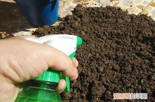 图 花盆土壤消毒用什么药 土壤杀菌消毒用什么药
